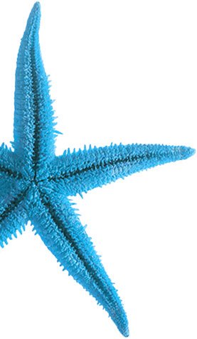 Starfish